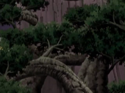 Mokuton555.png