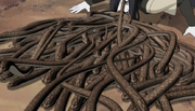 Pequeñas serpientes.png