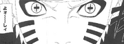 Naruto SM&BM.png