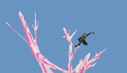 Yasei Trepando.png