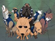 Ninken Kakashi.jpg