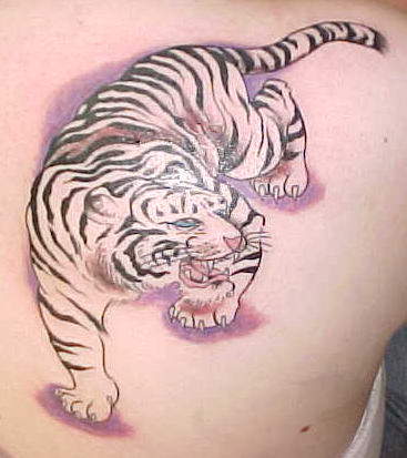 File:Animal1.jpg