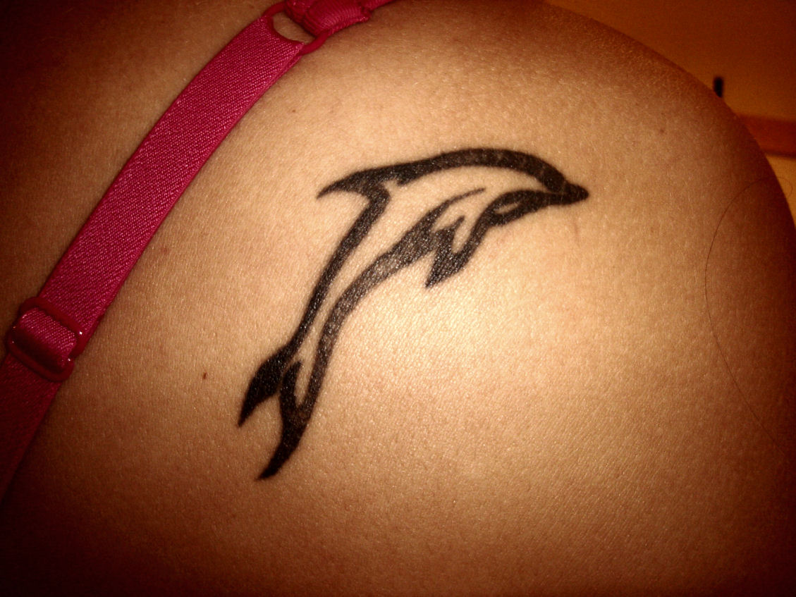 dolphin tattoos tattoos wiki fandom powered by wikia dolphin tattoos tattoos wiki fandom powered by wikia