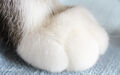Thumbnail for version as of 23:12, May 28, 2014