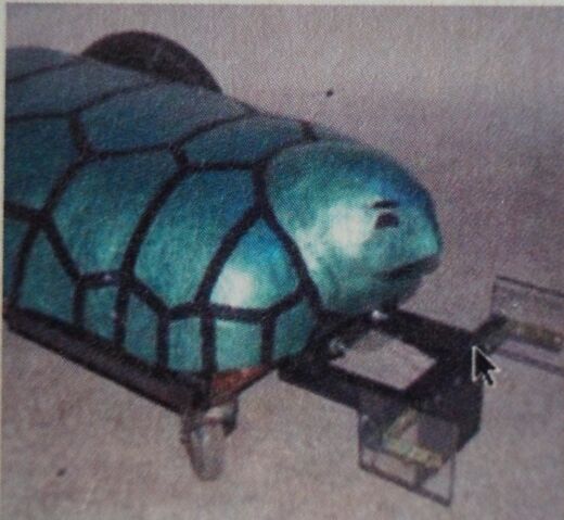 File:120px-Terror turtle jpg.jpg