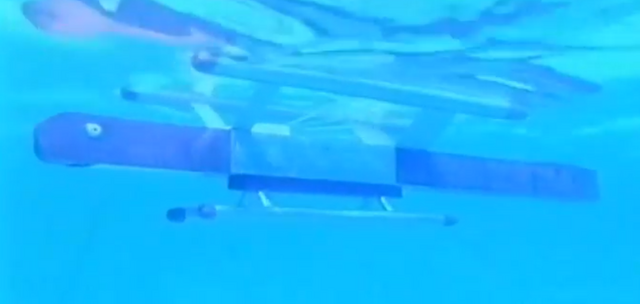 File:Silver fish.png
