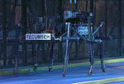 Tecumseh tg01