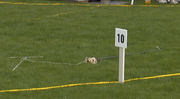 Fleabot 10 metres