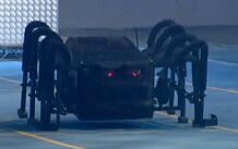 Blackwidow tg02