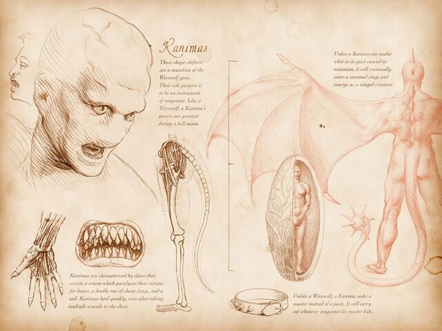 File:The Bestiary Kanimas.jpg
