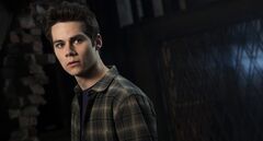 Slider Stiles.jpg