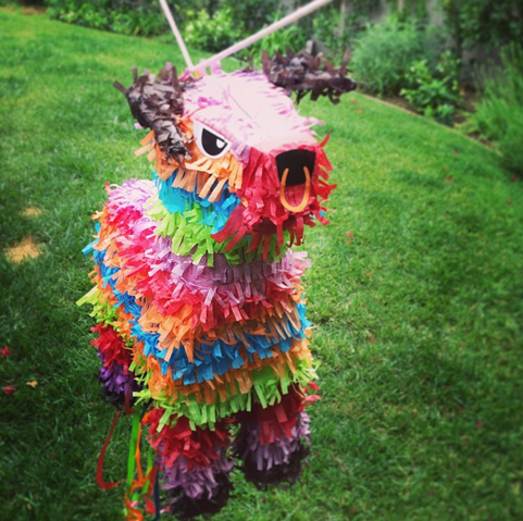 File:Tyler Posey Piñata.png