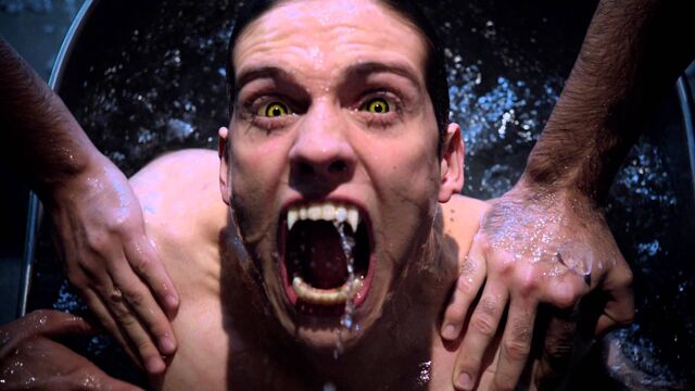 Datei:Teen-wolf-season-3.jpg