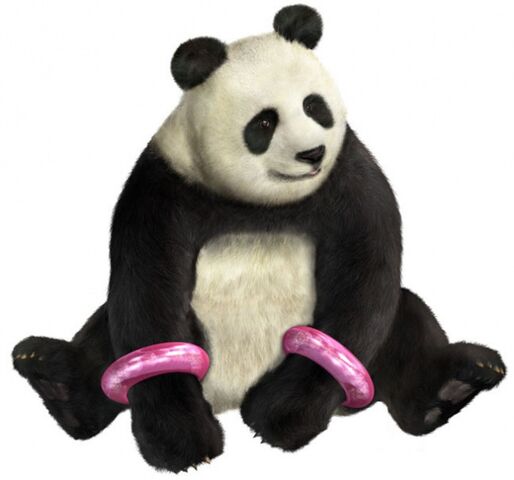 Datei:Panda05.jpg