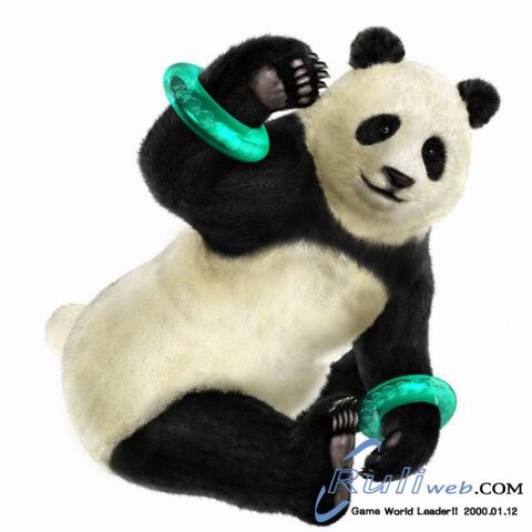 Datei:Panda06.jpg