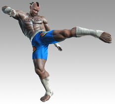 Bruce-irvin-tekken-tag-tournament-2-picture.jpg