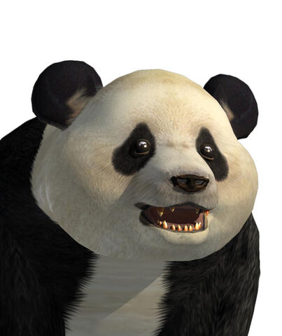 File:2165245-portrait panda.jpg