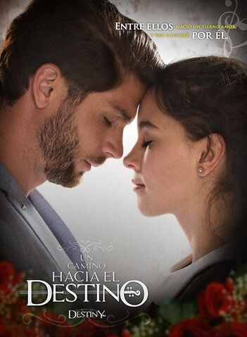File:Un-camino-hacia-el-destino.jpg
