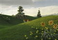 Thumbnail for version as of 21:27, April 22, 2013