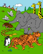 Animals