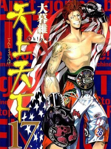 File:Vol 17.jpg