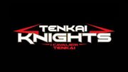 I Cavalieri Tenkai (IT)