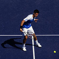 Novak Djokovic Volley 01