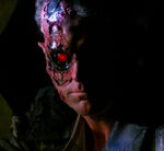 SCC 106 terminator in the future2
