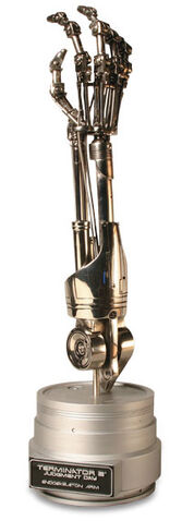 File:Endoskeletonarm.jpg
