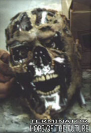 File:Rotten flesh..jpg