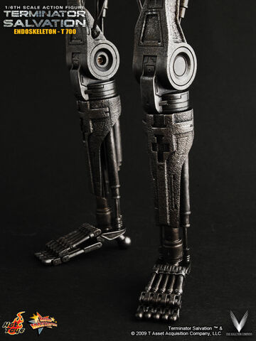 File:T-700endo6.jpg