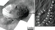 Vesta654