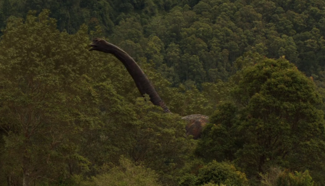 File:Triple Junction Brach.png