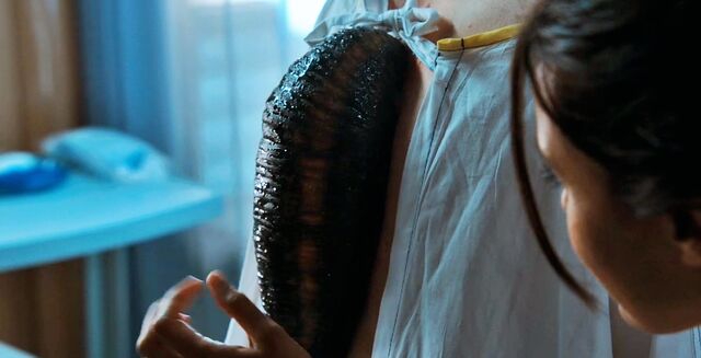 File:Leech2.jpg