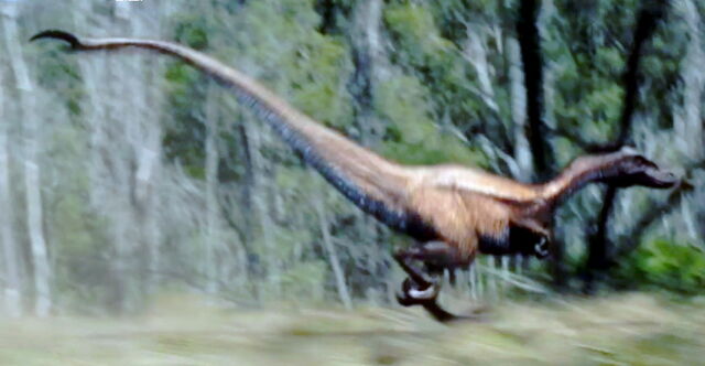 File:Nykoraptor4.jpg