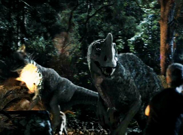 File:Slasher mated pair.jpg