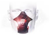 Head