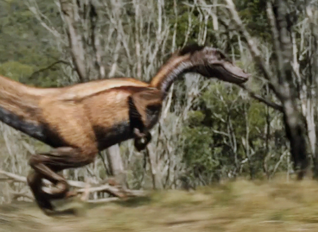 File:Nykoraptor2.png