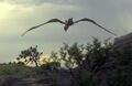 Thumbnail for version as of 23:24, November 15, 2011