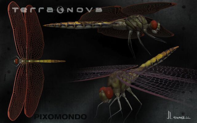 File:TerraNovaDragonflyJLewers.jpg