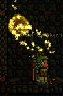 Coin portal.png