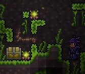 Jungle Spore