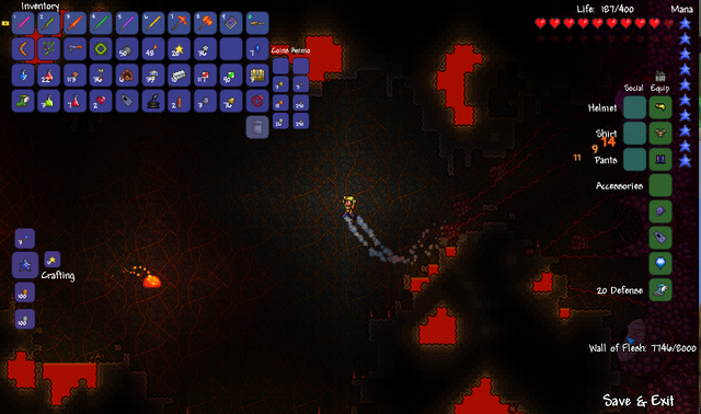 File:Wall of flesh.png