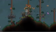 Pirate Army