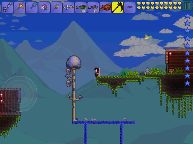 File:Mushroom tree.jpeg