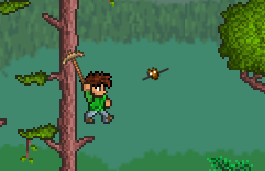 Jungle bat