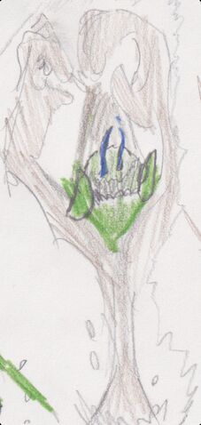File:Jungle Golem Attack.jpeg