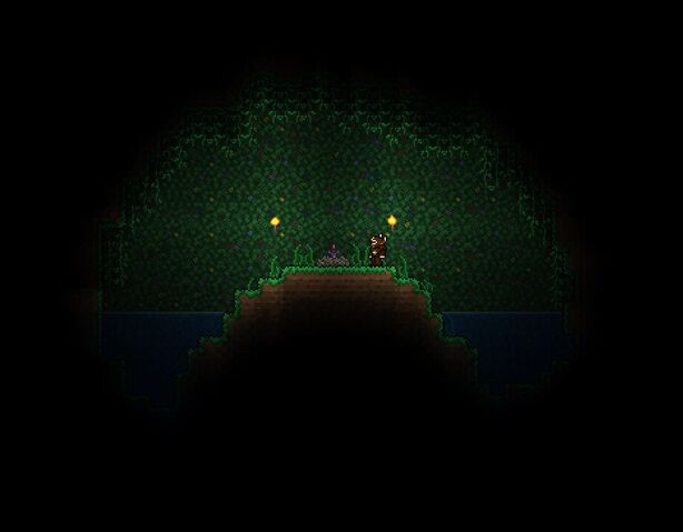 File:Minibiomes.jpg