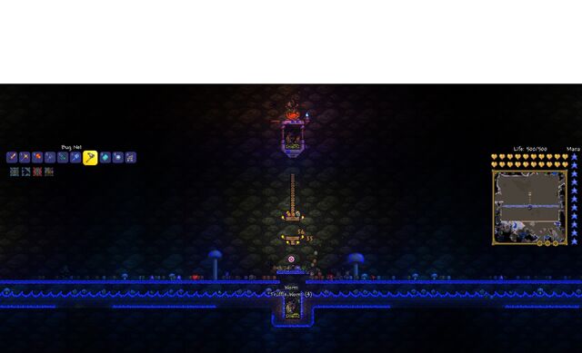 File:Truffle worm farm.jpg