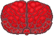 Molten Brain